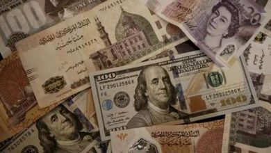سعر الدولار اليوم أمام الجنيه المصري في البنوك.. تعرف على أعلى وأقل سعر للشراء