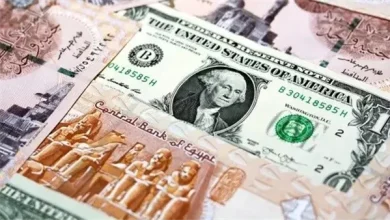 سعر الدولار اليوم في 10 بنوك.. تعرف على أعلى سعر للشراء