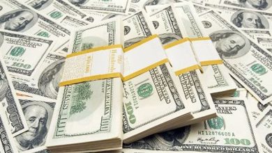 سعر الدولار اليوم في مصر الأحد 13 سبتمبر 2026 يسجل ارتفاعا جديدا بالبنوك