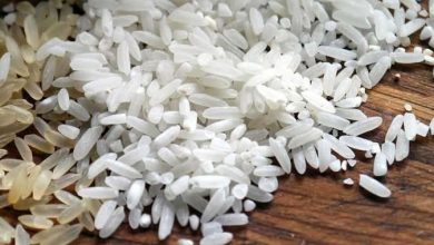 شعبة الأرز: انخفاض الأسعار 18% بسبب وفرة الإنتاج وموسم الحصاد