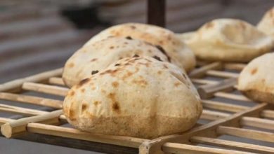 شعبة المخابز تطالب بزيادة أسعار الخبز السياحي 15% بسبب ارتفاع الدقيق