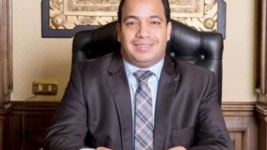 عبد المنعم السيد: لا توجد فقاعة عقارية في مصر.. والتعثر يطال نسبة محدودة من المطورين