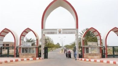 للالتحاق بالمدينة الجامعية في جامعة أسوان.. 2 شهود يؤكدان أن الطالبة غير متزوجة ولم يسبق لها الزواج