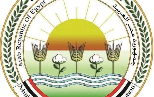 "متحدث وزارة الزراعة": "إفوة" نموذج للقرية المنتجة.. ونعمل على أن ينتج كل بيت احتياجاته ويبيع الفائض