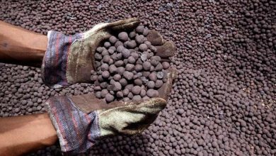 مصر أولى بدولارها.. 5 ملايين طن بليت فائضًا ومليار دولار تذهب إلى الاستيراد