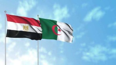 مصر والجزائر تتابعان تنفيذ مخرجات اللجنة العليا المشتركة لدفع التعاون الاقتصادي والتجاري والاستثماري