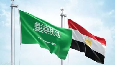 مصر والسعودية.. ما أبرز السلع المتبادلة بين البلدين الشقيقين؟