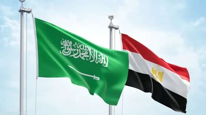 مصر والسعودية.. ما أبرز السلع المتبادلة بين البلدين الشقيقين؟