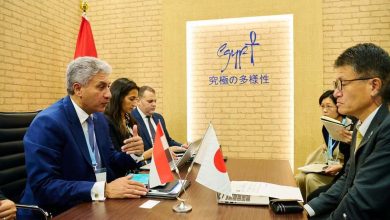 مصر واليابان تبحثان سبل التعاون السياحي على هامش معرض Tourism Expo Japan 2026