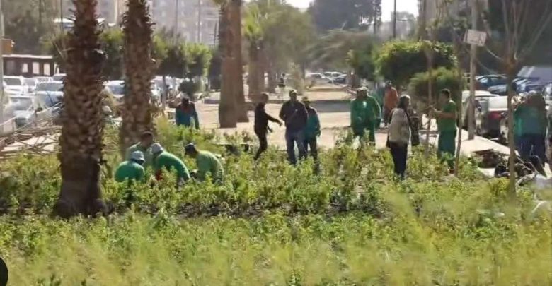«مليون شجرة».. تفاصيل مشروع «تخضير العاصمة» لتعزيز البيئة والمظهر الحضاري