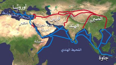 ممر تنموي من مصر والصين إلى العالم.. ماذا تعرف عن طريق الحرير (فيديو)