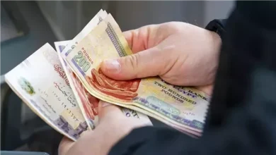 موعد مرتبات شهر اكتوبر 2026؟.. المالية تكشف المواعيد الرسمية للرواتب والمتأخرات