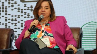مي عبد الحميد تزف بشرى لذوي المهن الحرة بشأن الإسكان الاجتماعي