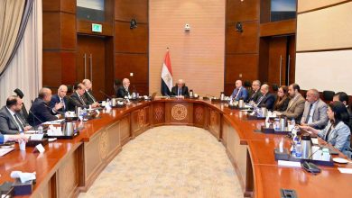 نائب رئيس الوزراء للشؤون الاقتصادية يتابع خطط التوسع وتطوير الأصول الفندقية والسياحية لـ«القابضة للسياحة والفنادق»