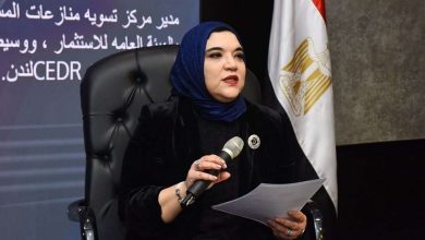 نائب رئيس هيئة الاستثمار: «استراتيجية الاستثمار الأجنبي» تستهدف 13 قطاعًا وتضم 5 قطاعات جاهزة للتنفيذ
