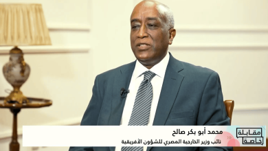 نائب وزير الخارجية: الاستثمارات المصرية في أفريقيا تتجاوز 14 مليار دولار