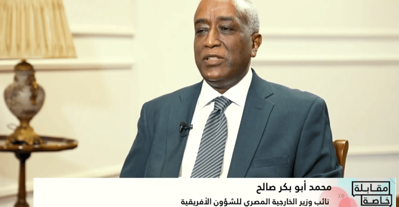 نائب وزير الخارجية: الاستثمارات المصرية في أفريقيا تتجاوز 14 مليار دولار