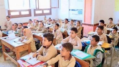 نتيجة المرحلة الثالثة لرياض الأطفال بالقاهرة.. النتيجة غدًا وفتح التعديل للمتقدمين