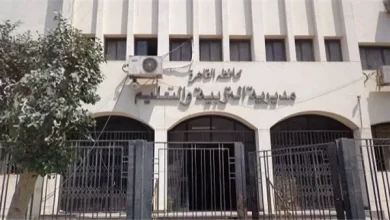 نتيجة المرحلة الثانية لتنسيق رياض الأطفال بالقاهرة 2026.. موعد ورابط الاستعلام