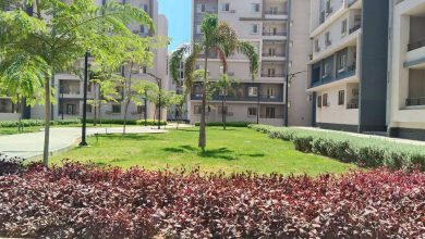 وزارة الإسكان: زراعة أكثر من 110 آلاف شجرة وتكثيف خطط التطوير البيئي بمدينة العاشر من رمضان