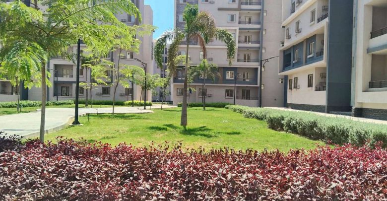 وزارة الإسكان: زراعة أكثر من 110 آلاف شجرة وتكثيف خطط التطوير البيئي بمدينة العاشر من رمضان