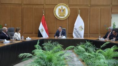 وزارة التعليم العالي تبحث توسيع التعاون مع فيليبس لدعم التعليم والبحث العلمي