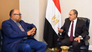 وزير الخارجية ونظيره التنزاني يبحثان سبل تعزيز العلاقات الثنائية وتنسيق المواقف إزاء القضايا الإقليمية