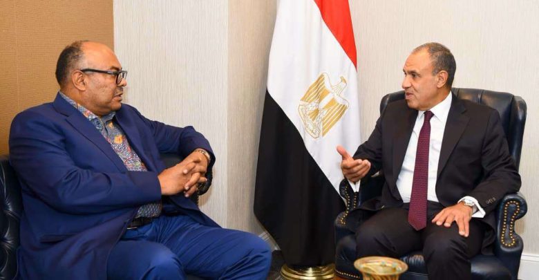 وزير الخارجية ونظيره التنزاني يبحثان سبل تعزيز العلاقات الثنائية وتنسيق المواقف إزاء القضايا الإقليمية