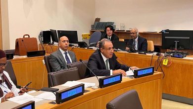 وزير الخارجية يؤكد رفض مصر تهجير الفلسطينيين وضم الأراضي وتصفية القضية الفلسطينية