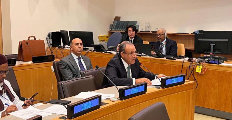 وزير الخارجية يؤكد رفض مصر تهجير الفلسطينيين وضم الأراضي وتصفية القضية الفلسطينية