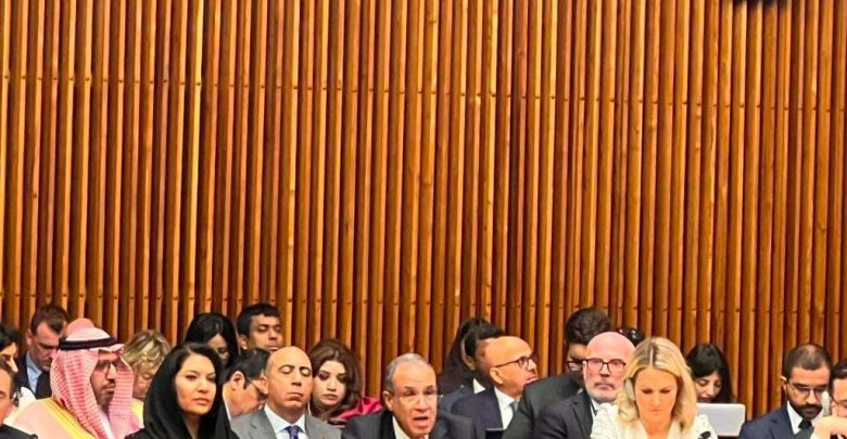 وزير الخارجية يشارك في الاجتماع الوزاري للتحالف العالمي لتنفيذ حل الدولتين