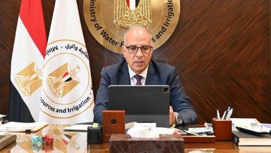 وزير الري يشيد بالدور الفنلندي في دعم قضايا المياه على المستوى الدولي