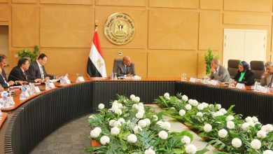 وزير الكهرباء: الشبكة القومية نجحت في مواجهة الزيادة غير المسبوقة في الأحمال