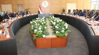 وزير الكهرباء: دعم الأشقاء في السودان لإعادة تأهيل محطات التوليد الكهرومائية والحرارية