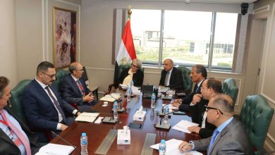 وزير الكهرباء يبحث مع سفيرة فنلندا و«وارتسيلا» تعزيز التعاون في الطاقة المتجددة والشبكات الذكية