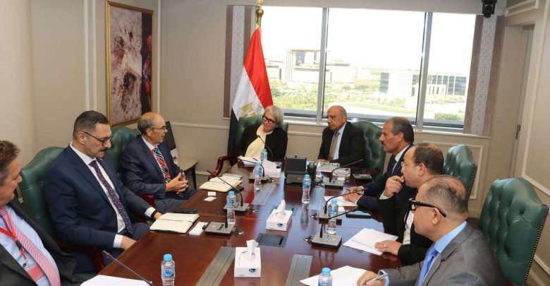 وزير الكهرباء يبحث مع سفيرة فنلندا و«وارتسيلا» تعزيز التعاون في الطاقة المتجددة والشبكات الذكية