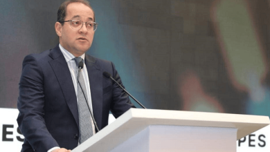 وزير المالية: الاستثمار الخاص يستحوذ على نحو 63% من إجمالي الاستثمارات