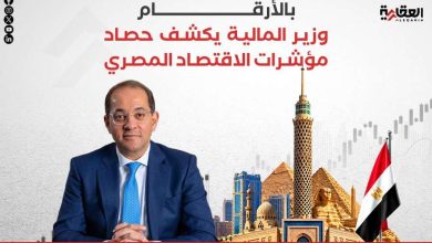 وزير المالية يكشف حصاد مؤشرات الاقتصاد المصري
