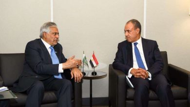 وزيران خارجية مصر وباكستان يبحثان تعزيز التعاون الثنائي وتطورات الأوضاع الإقليمية