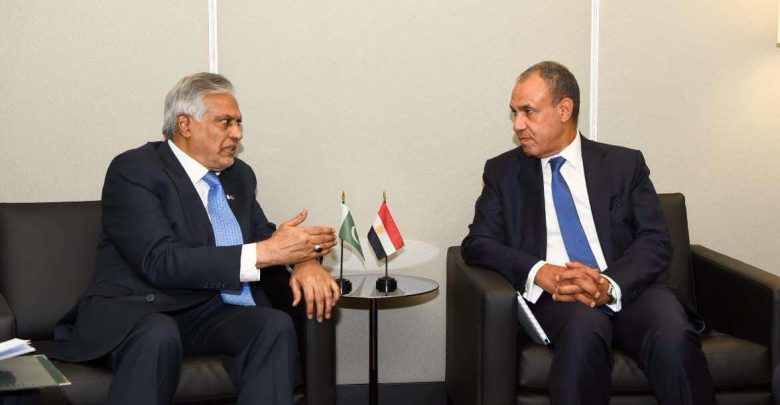 وزيران خارجية مصر وباكستان يبحثان تعزيز التعاون الثنائي وتطورات الأوضاع الإقليمية