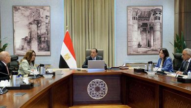 وزيرة الإسكان: العمل على زيادة المساحات الخضراء بالمدن الجديدة