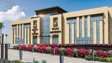 وظيفة جامعة.. جامعة الجلالة وظائف لأعضاء هيئة التدريس بعدد من كليتها