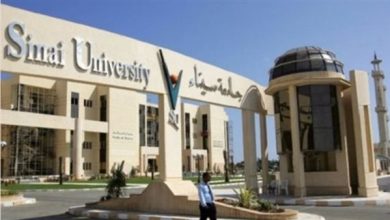 وظيفة جامعة.. جامعة سيناء تعلن عن وظائف أعضاء هيئة تدريس بعدد من الكليات