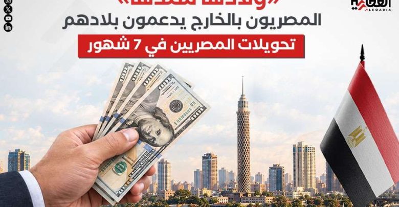 «ولادها سندها».. المصريون بالخارج يدعمون بلادهم