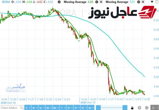 سهم شركة مقاولات يسجل تراجعاً بأكثر من 19% ويتصدر نشاط التداول في البورصة المصرية