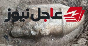 الأعلى للآثار يعلن بدء الحفر الرسمي لموقع تمثال رمسيس الثاني بمحافظة الغربية وإنجاز تاريخي في الكشف