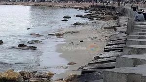 المركز القومي لعلوم البحار يوضح حقيقة انحسار مياه البحر في الإسكندرية مع صور توضيحية