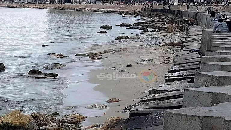 المركز القومي لعلوم البحار يوضح حقيقة انحسار مياه البحر في الإسكندرية مع صور توضيحية