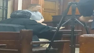 تأجيل محاكمة متهم بهتك عرض أطفال مدرسة هابي لاند إلى 10 نوفمبر