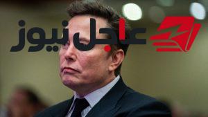إيلون ماسك يوجه انتقادًا لاذعًا لجويتام أمباني ويصفه بالحاكم الفعلي للهند